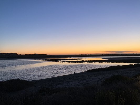 Bolsa Chica Ecological Reserve by null