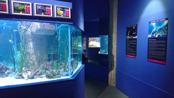 BLUEREEF AQUARIUM - Updated December 2024 - Grand Parade, Tynemouth