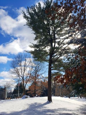 Benson Park by null