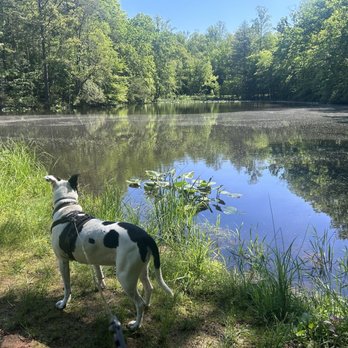 James River State Park - Taylor Pond - Parks Near Me - Gladstone, Virginia