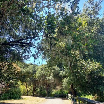 Filoli - Botanical Gardens Near Me - Woodside, California