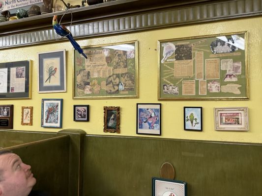 Parrot Confectionery by null