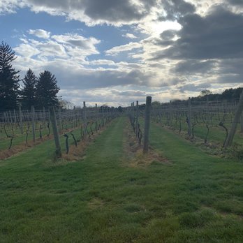 Crossing Vineyards & Winery - Vineyards - Wineries Near Me - Newtown, Pennsylvania