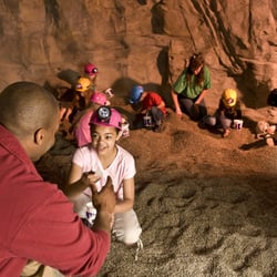 Dig for gems in The Jackpot Mine, where everything you find, you keep!