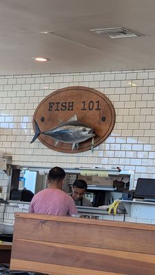 Fish 101 by null
