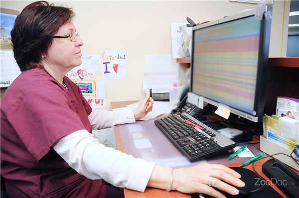 Spine Medicine & Surgery of Long Island