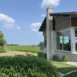 Fielding Estate Winery - Vineyard views