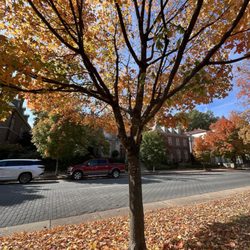Monument Avenue