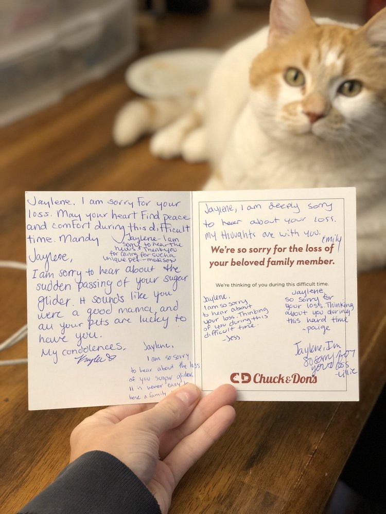 CHUCK & DON’S PET FOOD & SUPPLIES 17 Photos 12465 Riverdale Blvd