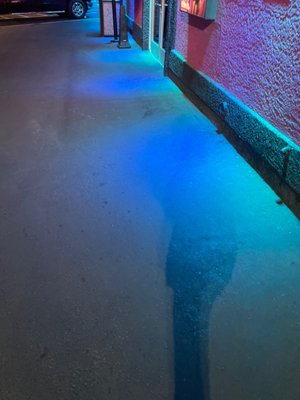 Little Darlings Las Vegas by null