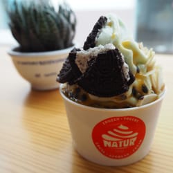 Natur Frozen Yogurt