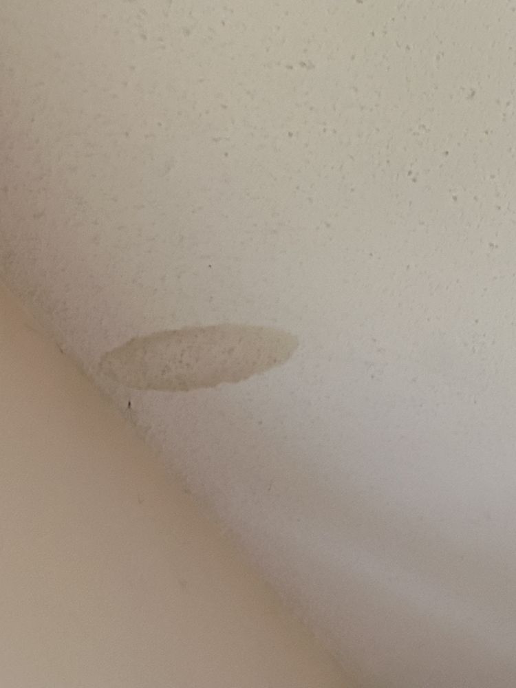 Slide of Wall to wall