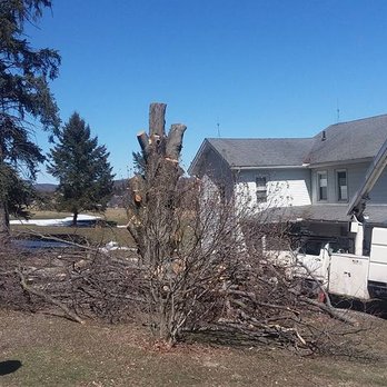Worper Tree Service - Tree Services Near Me