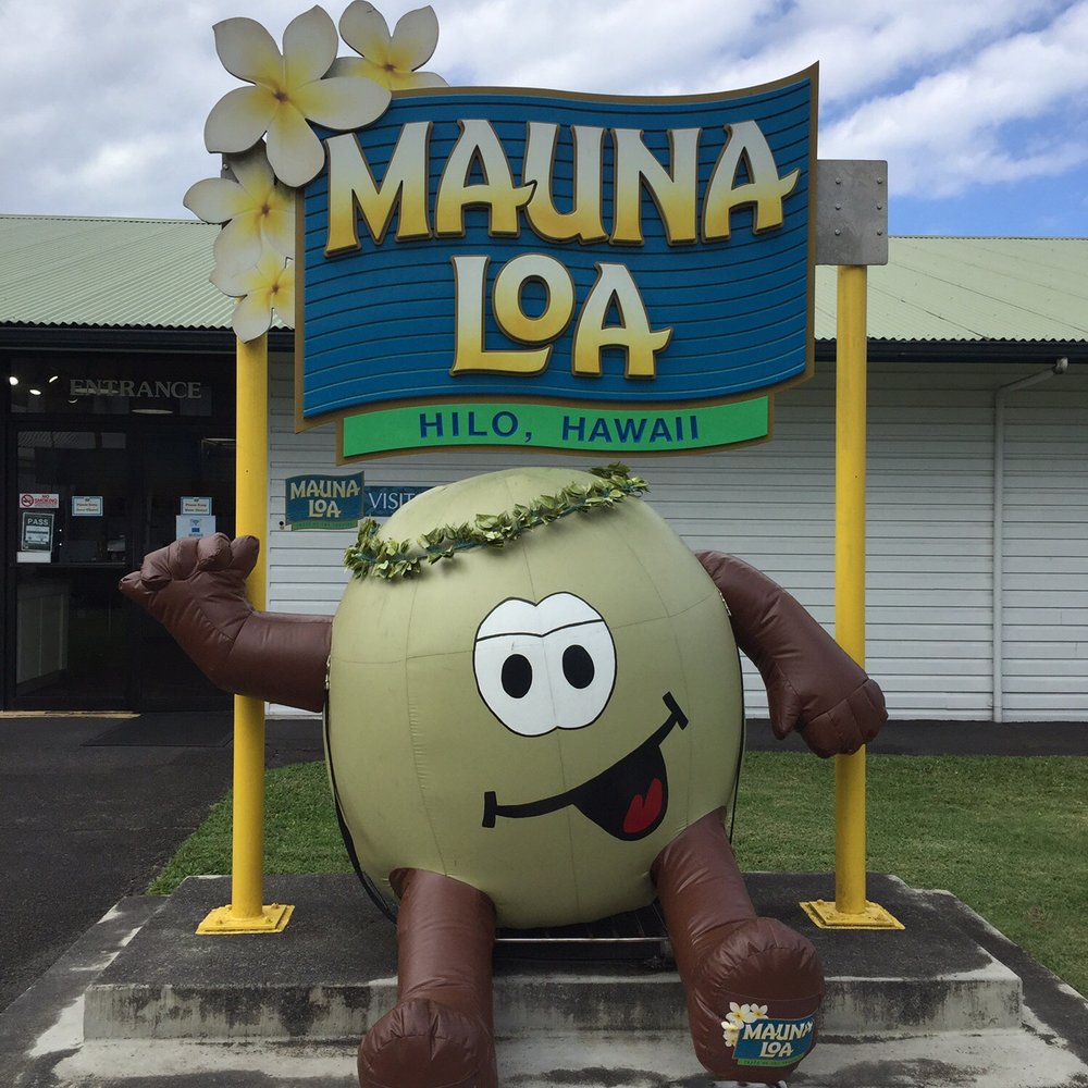 Mauna Loa Macadamia Nut - Chocolatiers & Shops Near Me - Keaau, Hawaii Mauna Loa Macadamia Nut - Chocolatiers & Shops Near Me - Keaau, Hawaii