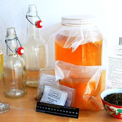 CommuniTea Kombucha - We sell SCOBYs, bulk tea, bottles, and complete kits for all your kombucha homebrewing needs