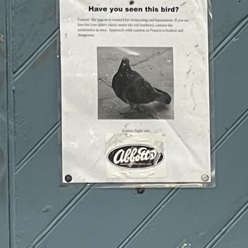 Abbott's Frozen Custard - "Pigeon wanted" poster. Armed with beads and wanted for harassment. BOLO - Ice Cream & Frozen Yogurt Near Me - New Orleans, Louisiana Abbott's Frozen Custard - "Pigeon wanted" poster. Armed with beads and wanted for harassment. BOLO - Ice Cream & Frozen Yogurt Near Me - New Orleans, Louisiana
