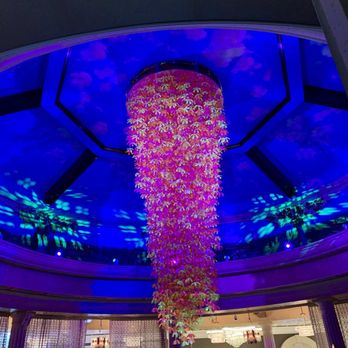 Peppermill Reno - Piano bar - Casinos Near Me - Reno, Nevada Peppermill Reno - Piano bar - Casinos Near Me - Reno, Nevada