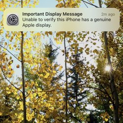 Phone Guru