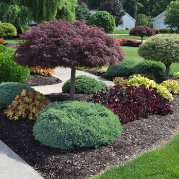 TGP Landscaping - Landscaping Near Me TGP Landscaping - Landscaping Near Me