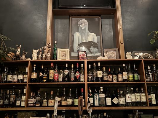 The Cat House by null