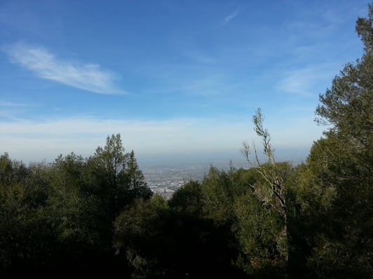 Taylor Mountain Regional Park by null