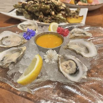 Marina Kitchen - New American Near Me - San Diego, California Marina Kitchen - New American Near Me - San Diego, California