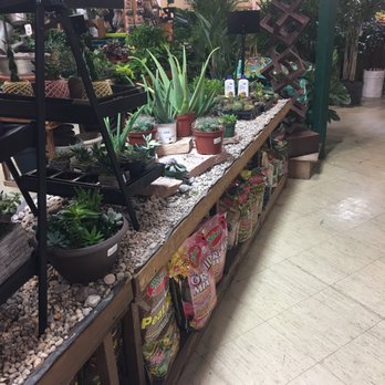 Earl May Garden Center - Great houseplant selection - Landscaping Near Me - West Des Moines, Iowa Earl May Garden Center - Great houseplant selection - Landscaping Near Me - West Des Moines, Iowa