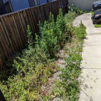 J Lopez Gardening - Gardeners Near Me J Lopez Gardening - Gardeners Near Me