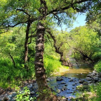 Alum Rock Park - Penitencia creek - Parks Near Me - San Jose, California