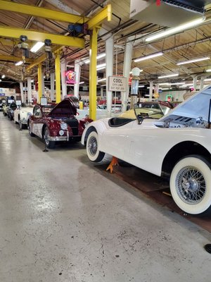 Route 66 Car Museum by null