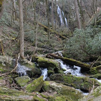 Lee Falls Trailhead - The fight to the waterfalls begin after the 6th creek crossing - Hiking Near Me - Tamassee, South Carolina