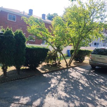 Above & Beyond Tree Care - Tree Services Near Me - Newton, Massachusetts Above & Beyond Tree Care - Tree Services Near Me - Newton, Massachusetts