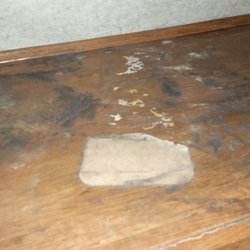 Carmart - This is the mold that began growing in master bedroom closets, under my clothing.