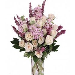 Safflowers - Picture of what I wanted and what I got.