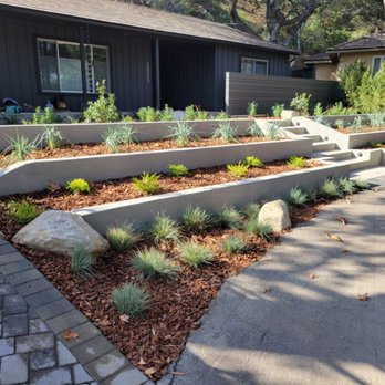 Buildcal Landscape - Frontyard landscaping and terracing with pour in place concrete walls - Landscaping Near Me - Glendale, California Buildcal Landscape - Frontyard landscaping and terracing with pour in place concrete walls - Landscaping Near Me - Glendale, California