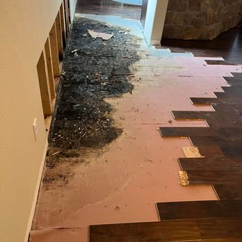 Alpha Restoration - Mold can sometimes be lurking underneath the floor boards - Damage Restoration Near Me - Denver, Colorado Alpha Restoration - Mold can sometimes be lurking underneath the floor boards - Damage Restoration Near Me - Denver, Colorado