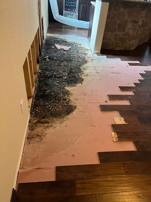 Alpha Restoration on Yelp