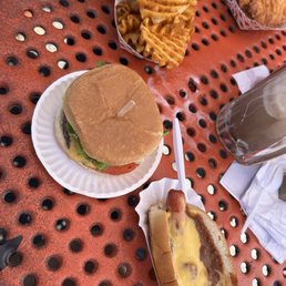 Chili Cheese Dog