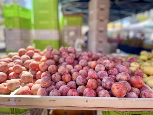 Heart of the City Farmers' Market by null