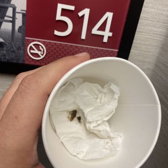 Hampton Inn Athens - Roach in room 514 - Hotels Near Me - Athens, Georgia Hampton Inn Athens - Roach in room 514 - Hotels Near Me - Athens, Georgia