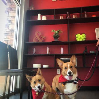 Tailored Tails - Pet Groomers Near Me - Clinton, Utah Tailored Tails - Pet Groomers Near Me - Clinton, Utah