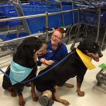 PetSmart - Always getting plenty of love from the staff. - Pet Training Near Me - Destin, Florida PetSmart - Always getting plenty of love from the staff. - Pet Training Near Me - Destin, Florida