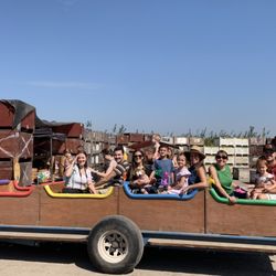 Lucky You Orchards - Ripon - Free tractor ride