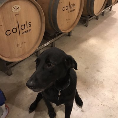 CALAIS Winery by null
