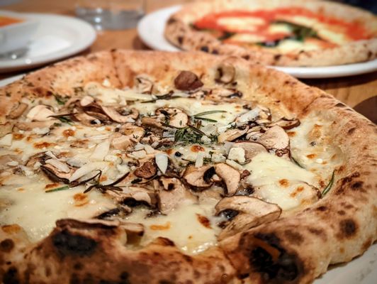 Photo of Pizzeria Libretto Danforth - Toronto, ON, CA. Funghi pizza