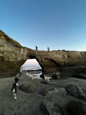 Lighthouse Field State Beach by null