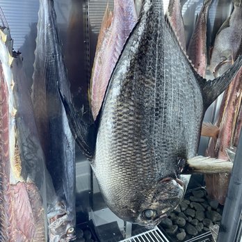 Adeline - Fish locker - Cocktail Bars Near Me - Sarasota, Florida