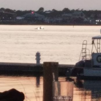 Cobalt - The scene - Seafood Near Me - Orange Beach, Alabama