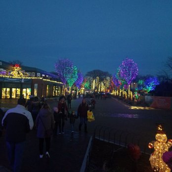 Zoolights - Yayyyyyyyyyy - Local Flavor Near Me - Chicago, Illinois