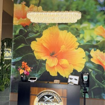 Bertie's Restaurant - Caribbean Near Me - Brandon, Florida